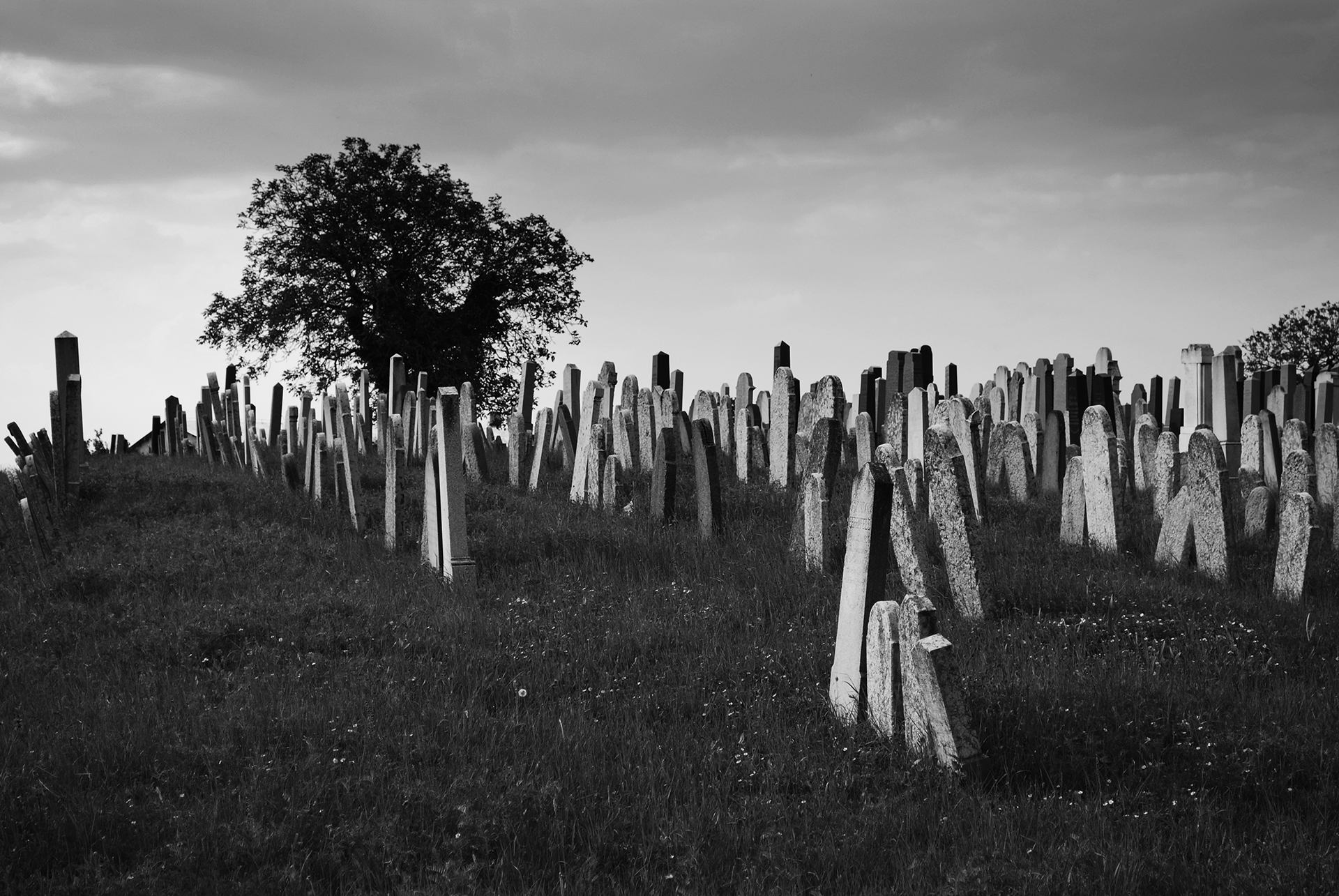 Židovský cintorín